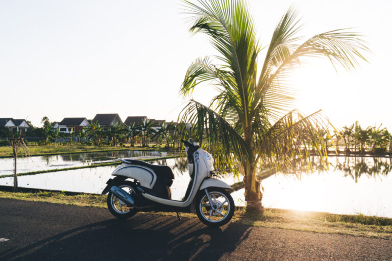 Bali’s Scenic Roads