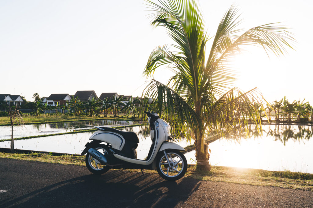 Bali’s Scenic Roads