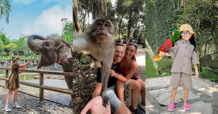Wildlife Encounters in Bali